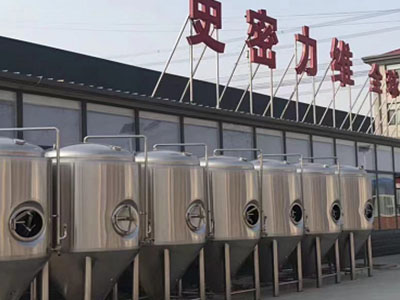 建阳精酿啤酒设备厂—如何判断精酿啤酒设备的密封件需要更换？